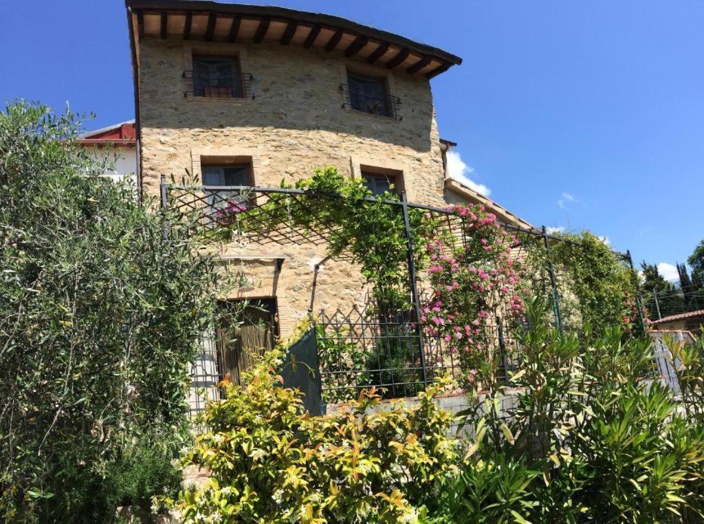 Corsanico-Bargecchia La Casina Delle Rondini旅馆 外观 照片
