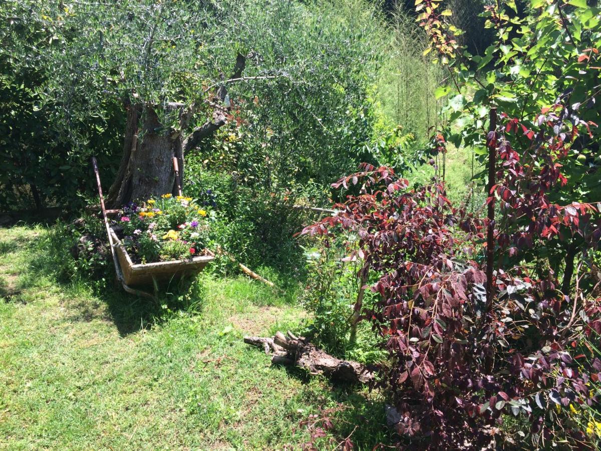 Corsanico-Bargecchia La Casina Delle Rondini旅馆 外观 照片